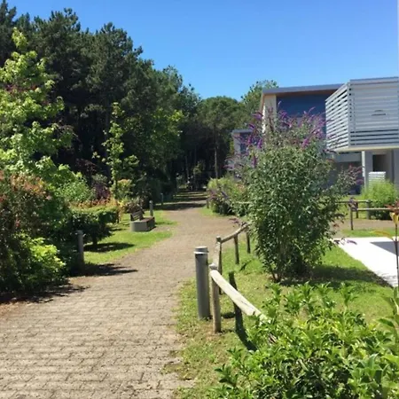 Two-story Terraced Near The Shores In *